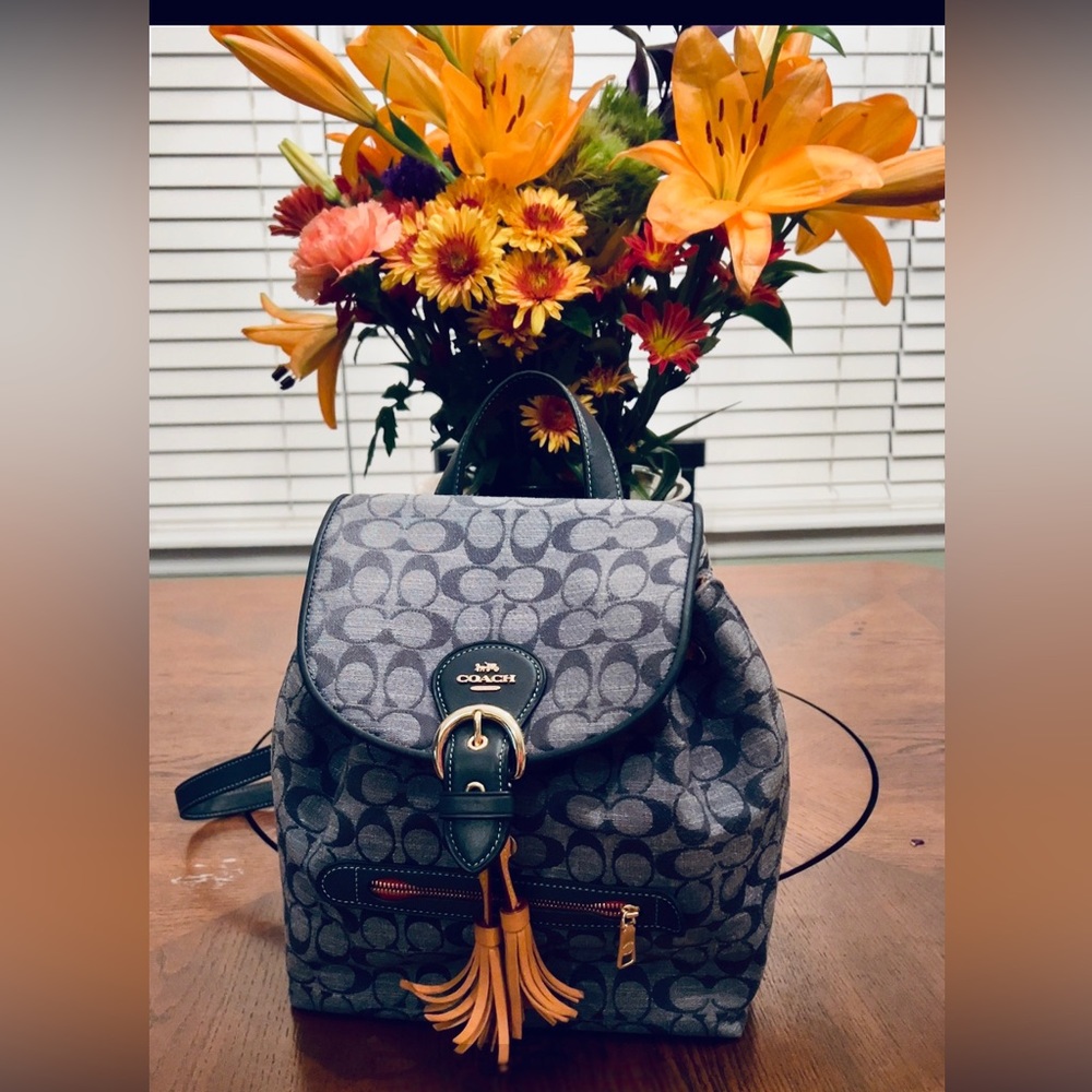 Coach Kleo Backpack In Signature Chambray Gem